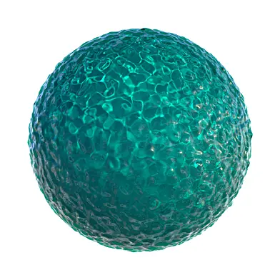 Ocean 6