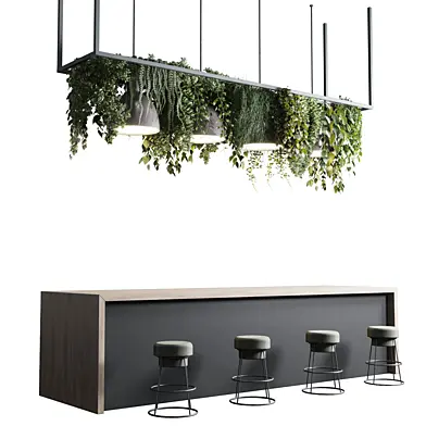 Coffee shop reception, Restaurant counter by hanging plant - 04