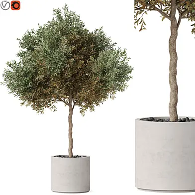 Plants collection 808