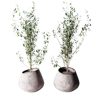 Interior plant 05