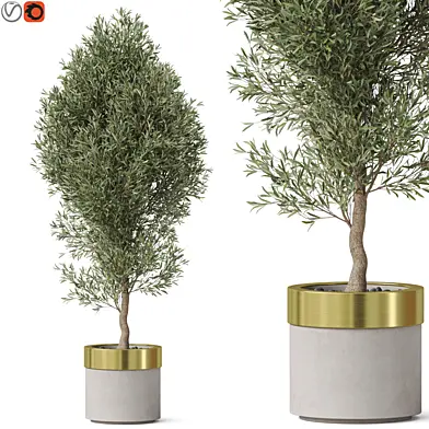 Plants collection 825
