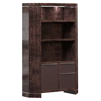 ABSOLUTE Bookshelf by giorgio collection