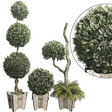 Outdoor Plant Set 08