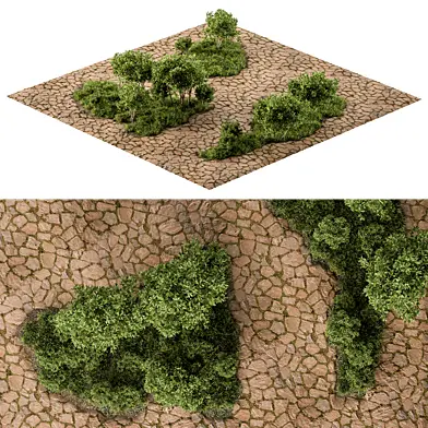 Urban and Environment Element- Set 49
