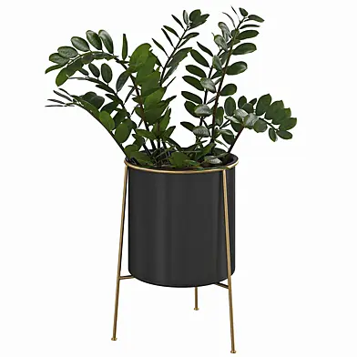 Houseplant 80