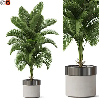 Plants collection 831