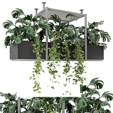 Indoor Hanging Plants in Metal Box - Set 1132