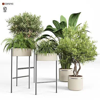 indoor plant set 08