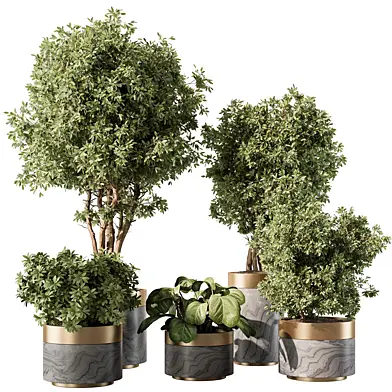 indoor Plant 450 - Tree and Bush