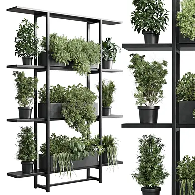 Vertical Wall Garden With metal frame - Shelf with plant 40 corona