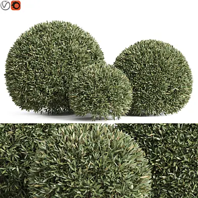 Plants collection 857
