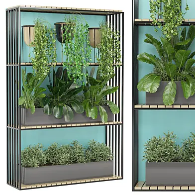 indoor Plants Collection - Set 608