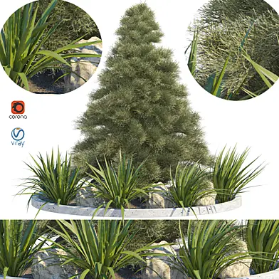 Outdoor Plant 167