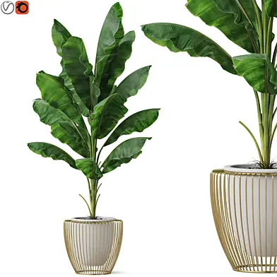 Plants collection 860