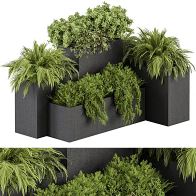 Plant Box - Outdoor Plants 484