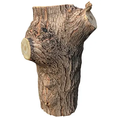 trunk 71