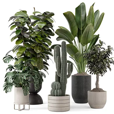 Indoor Plants in Ferm Living Bau Pot Large - Set 1220