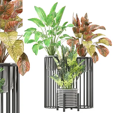 indoor Plants Collection - Set 652