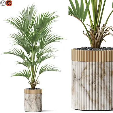 Plants collection 865