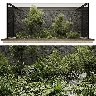 indoor plant set 50