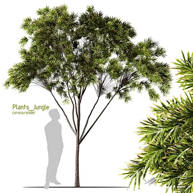 Plants_Jungle