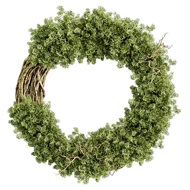 Wreath Set 15 - Mix Plants