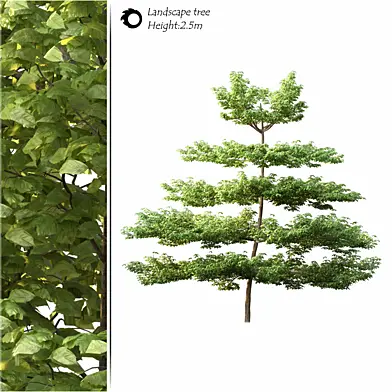 tree