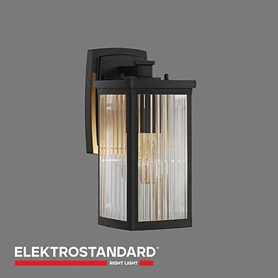 ОМ Настенный уличный светильник Elektrostandard GL 1006D Lame