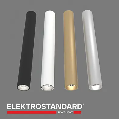 ОМ Накладной потолочный светильник Elektrostandard 25030/LED Pika