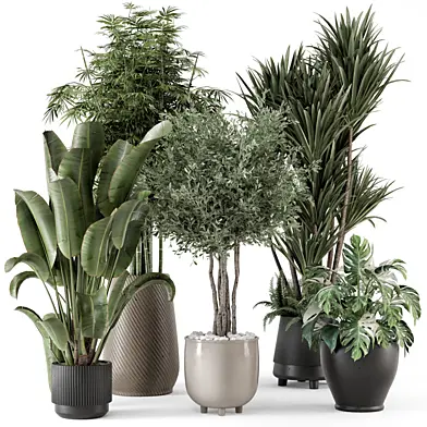 Indoor Plants in Ferm Living Bau Pot Large - Set 1325