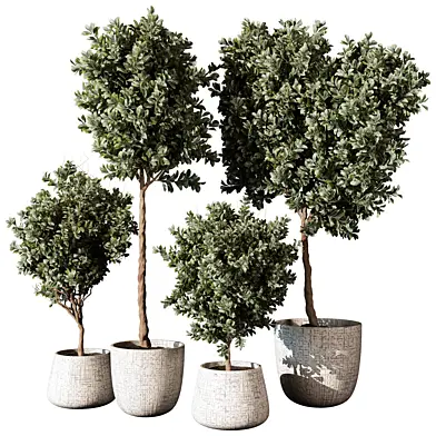 Outdoor Plant 206