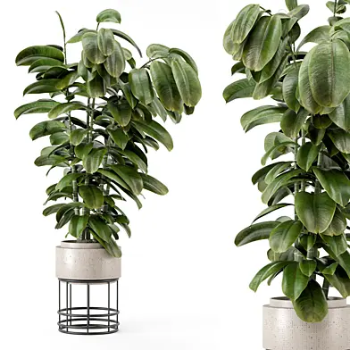 Indoor Plants in Ferm Living Bau Pot Large - Set 1329