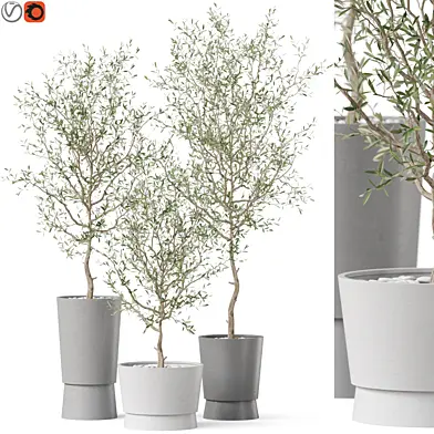 Plants collection 891