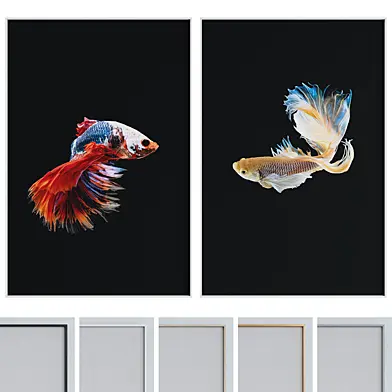 Picture Frame Set 1292