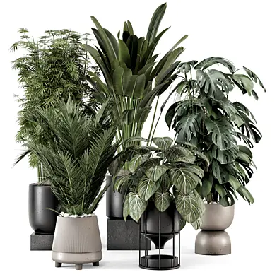 Indoor Plants  in rusty Concrete Pot - Set 1338