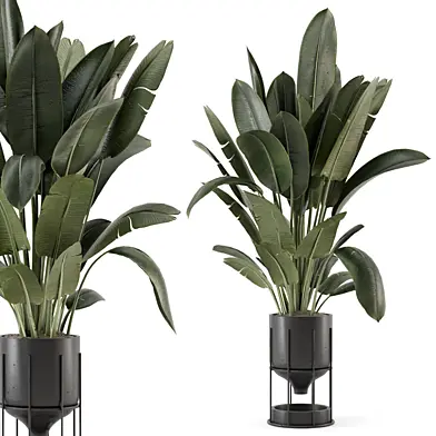 Indoor Plants in rusty Concrete Pot - Set 1339