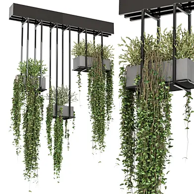 indoor hanging plants in metal box _ Set 757