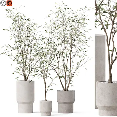Plants collection 900