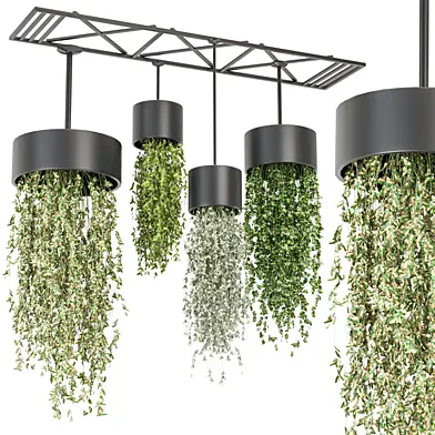 indoor hanging plants in metal box   Set 764