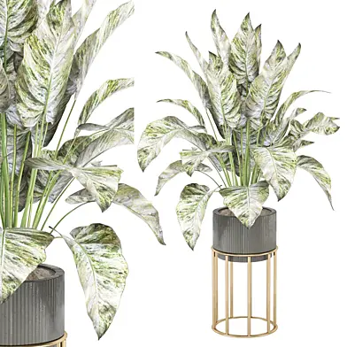 indoor Plants Collection - Set 769