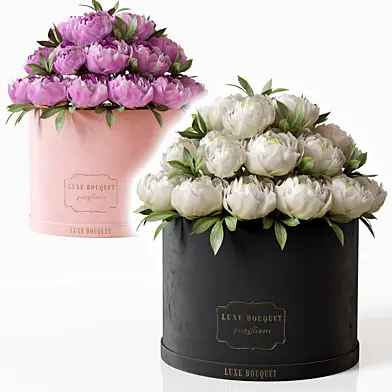 Peony flowers in box