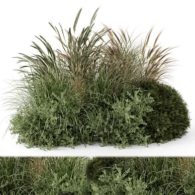 Outdoor Plants Bush Collection  -Bush Set 1379