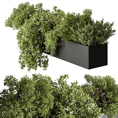 Outdoor Plant 502 - Hanging Plants