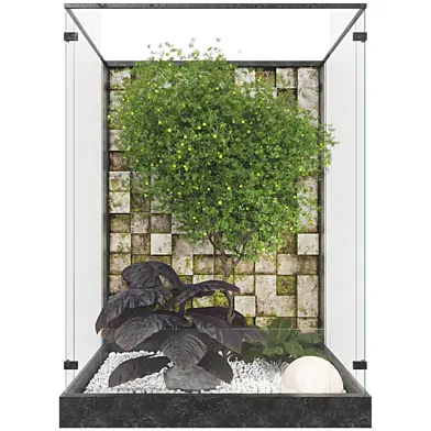 Plant Collection Set 74 _ Indoor Glass Garden