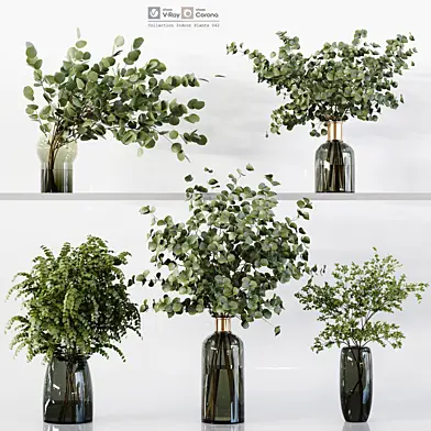 Collection Indoor Plants 042