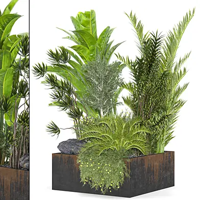 Collaction Indoor plant vol 39