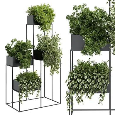 Standing metal shelf with a set of plants in metal boxes 355