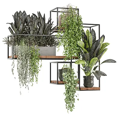indoor hanging plants in metal shelf_ Set 792