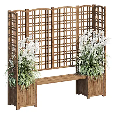 Eucalyptus grass