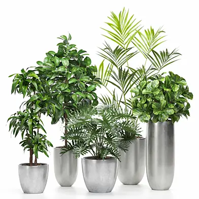 treez plants set 10